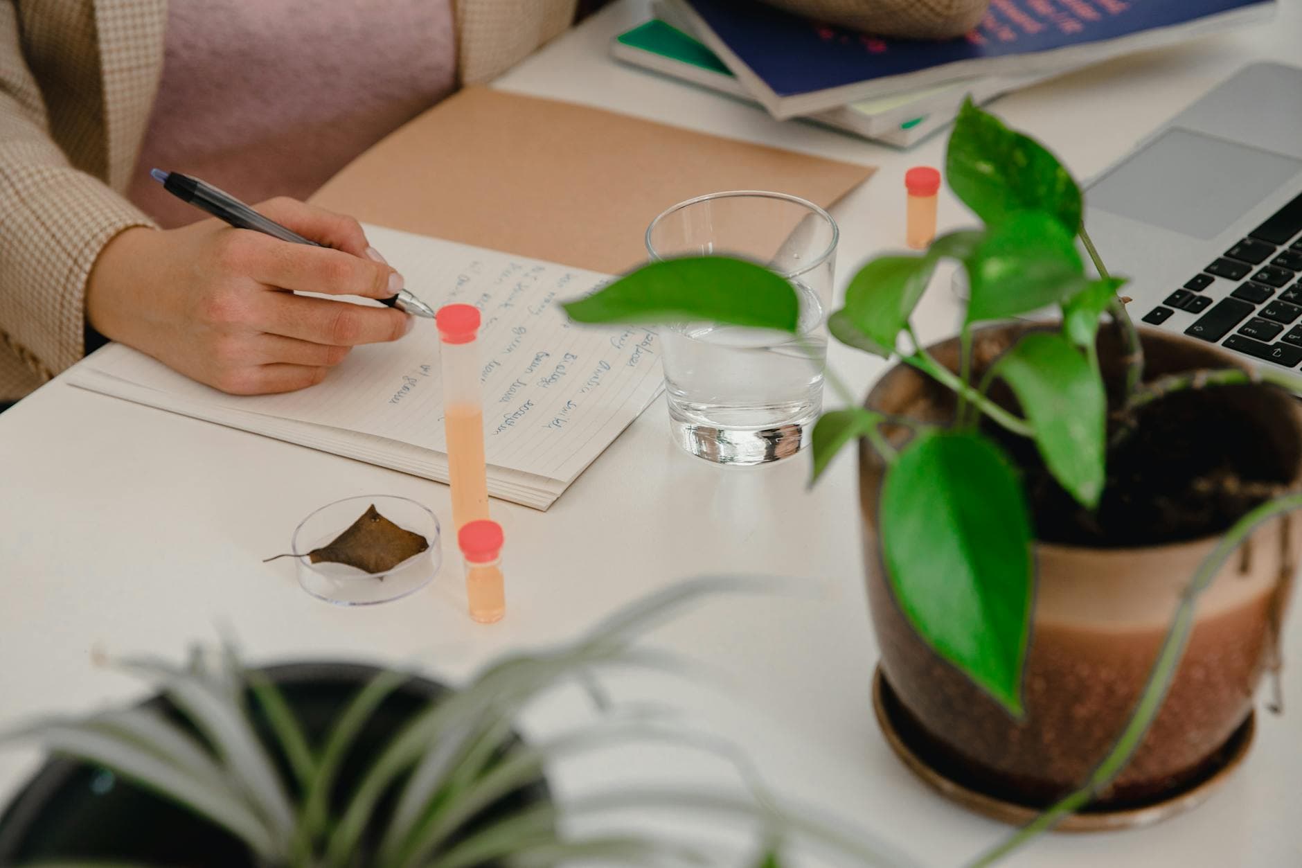 Hoe met CAC-gesteunde leningen een Series E-financiering van $150 miljoen in Edtech werd ondersteund