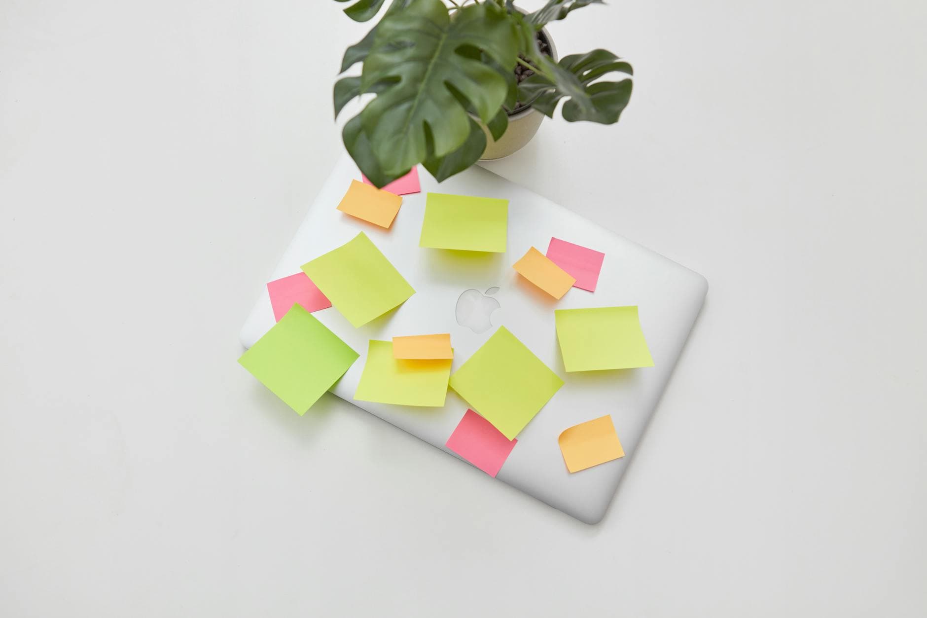 Lessen in Product Scaling en Storytelling van Figmas CPO