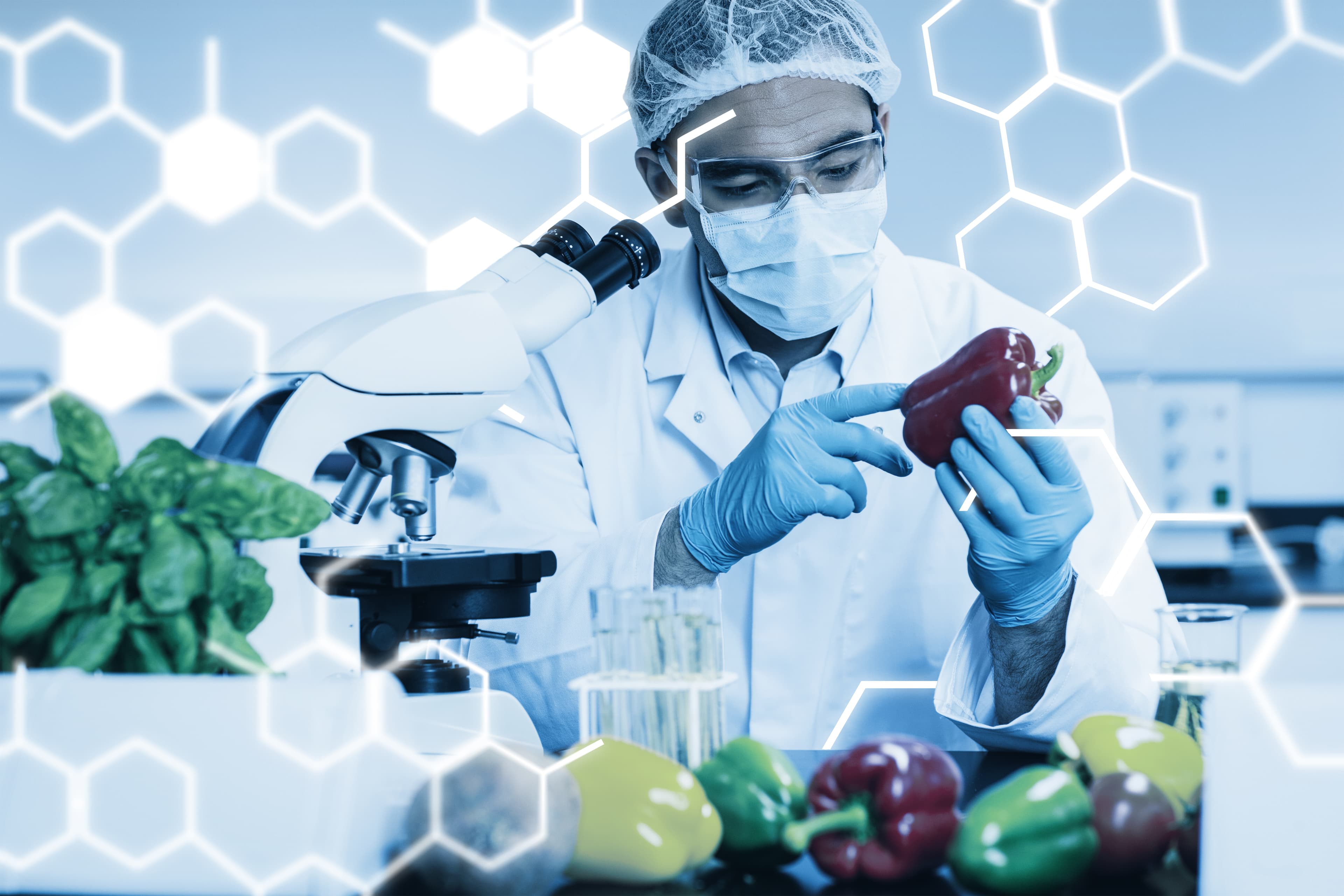 FoodTech and Alternative Proteins: Chartered Venture Funds Leading the Way