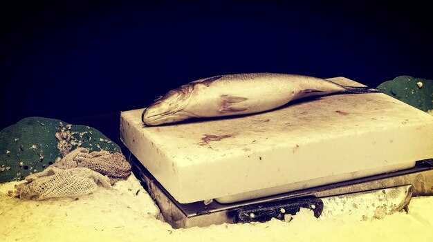 Find and filter entries by topic, tag, or keyword