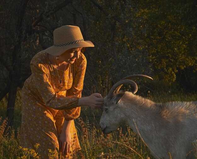 Все наши статьи о GOAT ("Величайших") — Полный архив материалов о величайших за все времена