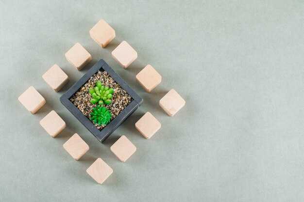 Capture insights and translate learnings into action